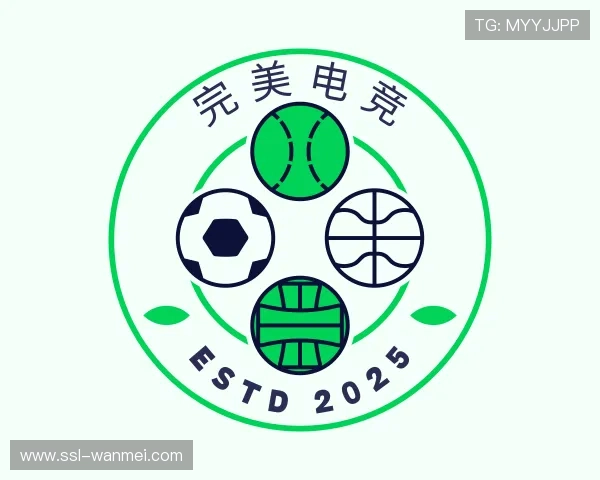 关于完美电竞官方网站